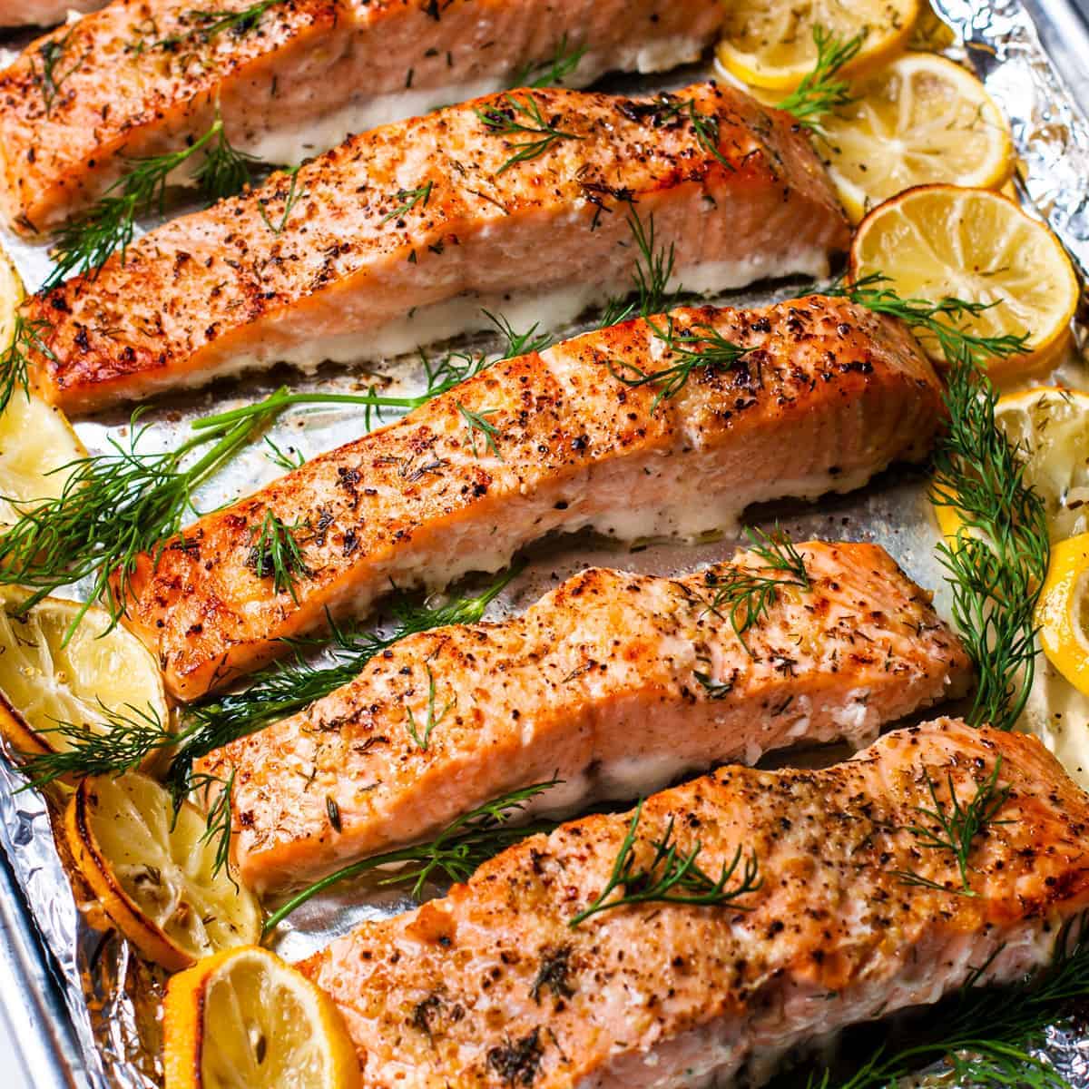 Salmon